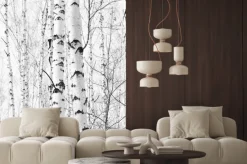 Naklejka: Czarno-biały brzozowy las z widokiem na korę