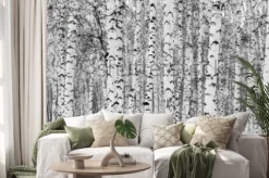 Naklejka: Czarno-biały zimowy las brzozowy