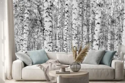 Naklejka: Czarno-biały zimowy las brzozowy