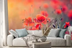 Naklejka: Czerwone maki na łące w słońcu