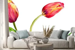 Naklejka: Czerwone tulipany w stylu akwarelowym