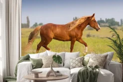 Naklejka: Czerwony koń z długą grzywą