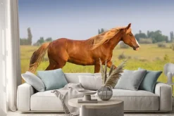 Naklejka: Czerwony koń z długą grzywą