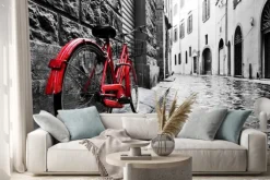 Naklejka: Czerwony rower w stylu vintage na tle czarno-białego miasta