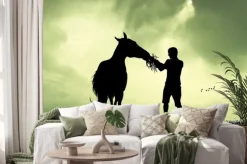 Naklejka: Człowiek i koń o zachodzie słońca