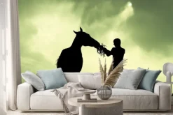 Naklejka: Człowiek i koń o zachodzie słońca