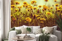 Naklejka: Dandelion kwiaty o zachodzie słońca z nieba. vintage korekcja