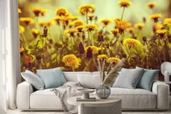 Naklejka: Dandelion kwiaty o zachodzie słońca z nieba. vintage korekcja