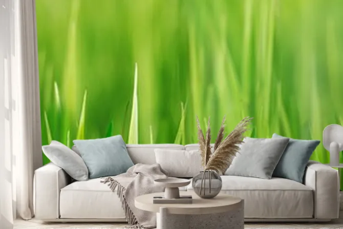 Naklejka: Źdźbła trawy w zbliżeniu