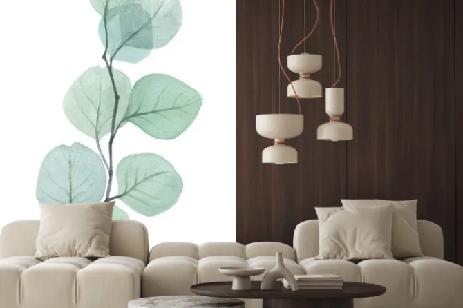 Naklejka: Delikatna gałązka eukaliptusa