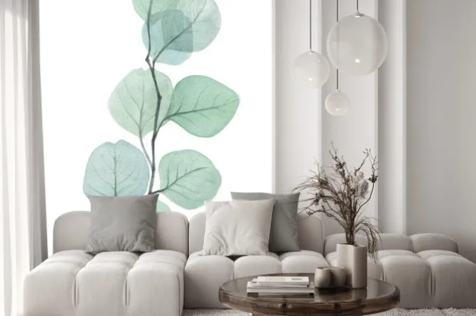 Naklejka: Delikatna gałązka eukaliptusa