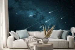 Naklejka: Deszcz meteorów w rozgwieżdżone niebo