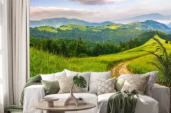 Naklejka: Droga przez las iglasty w górach na wschód słońca