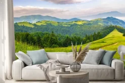 Naklejka: Droga przez las iglasty w górach na wschód słońca