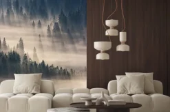 Naklejka: Drzewa iglaste we mgle