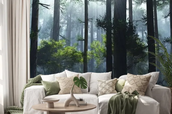 Naklejka: Drzewa we mgle o poranku