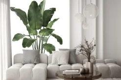 Naklejka: Duży kwiat bananowca