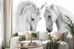 Naklejka: Dwa białe konie w artystycznym ujęciu