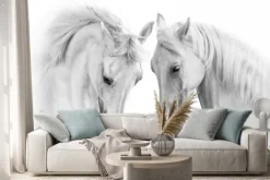 Naklejka: Dwa białe konie w artystycznym ujęciu