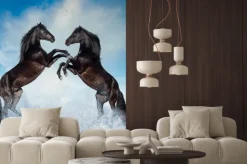 Naklejka: Dwa konie w śniegu stające dęba