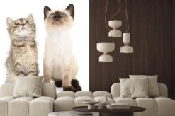 Naklejka: Dwa małe kocięta