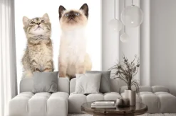 Naklejka: Dwa małe kocięta