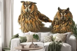 Naklejka: Dwie sowy