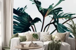 Naklejka: Egzotyczne tropikalny xanadu pozostawia na białym background.nature