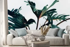 Naklejka: Egzotyczne tropikalny xanadu pozostawia na białym background.nature