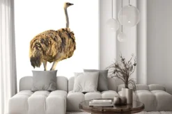 Naklejka: Emu