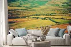 Naklejka: Faliste pola w toskanii o zachodzie słońca, włochy.