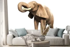 Naklejka: Freigestellter elefant mit erhobenem russel (gerendertes bild)