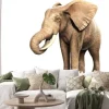 Naklejka: Freigestellter słoń na jedzeniu (wyrenderowany obraz)