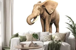 Naklejka: Freigestellter słoń na jedzeniu (wyrenderowany obraz)