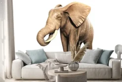 Naklejka: Freigestellter słoń na jedzeniu (wyrenderowany obraz)