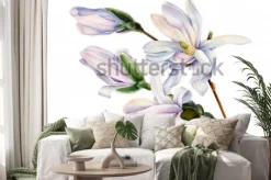 Naklejka: Gałąź wiosennych kwiatów magnolii na na białym tle, akwarela,