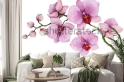 Naklejka: Gałązka różowych storczyków na białym tle