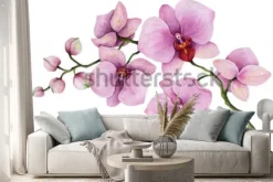 Naklejka: Gałązka różowych storczyków na białym tle