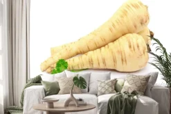 Naklejka: Gemüse pastinake