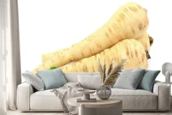 Naklejka: Gemüse pastinake