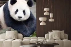 Naklejka: Giant panda pozowanie do aparatu, chengdu, syczuan, chiny