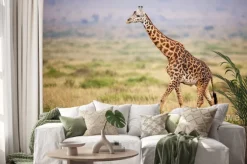 Naklejka: Giraffe walking in kenya