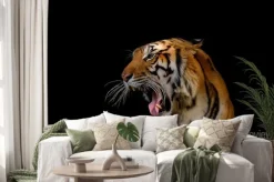 Naklejka: Głowa tygrysa.