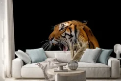 Naklejka: Głowa tygrysa.