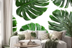 Naklejka: Green fresh monstera leaves on white background, top view. tropical