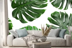 Naklejka: Green fresh monstera leaves on white background, top view. tropical