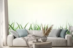 Naklejka: Green grass background template. lawn in the park.