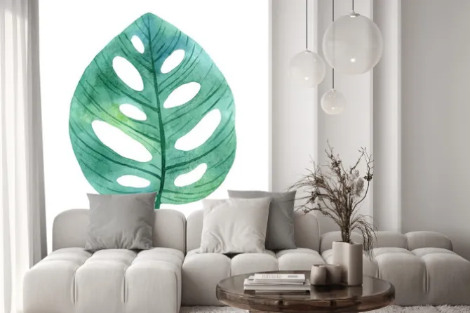 Naklejka: Green leaves of monstera from humid rainforest.