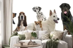 Naklejka: Grupa psów