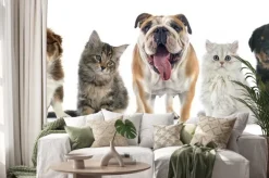 Naklejka: Grupa zwierzę